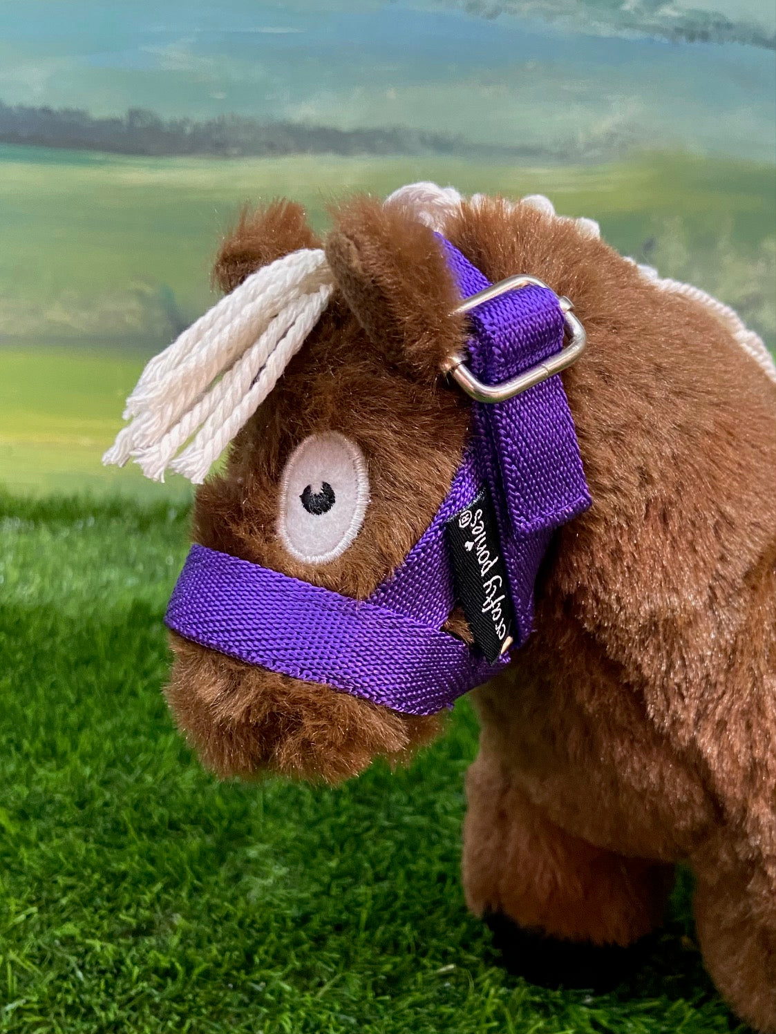 Foals and Foal Accessories