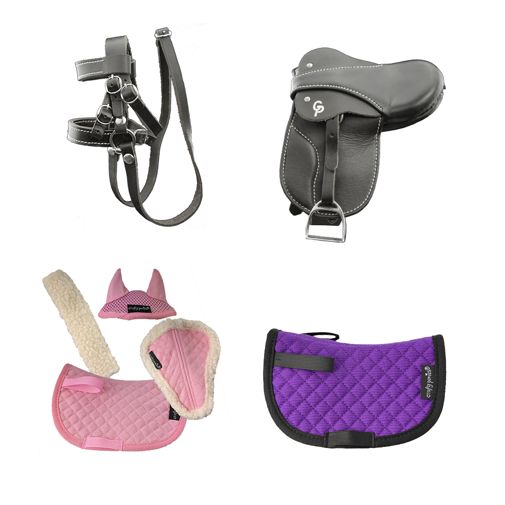 Tack and Accessories