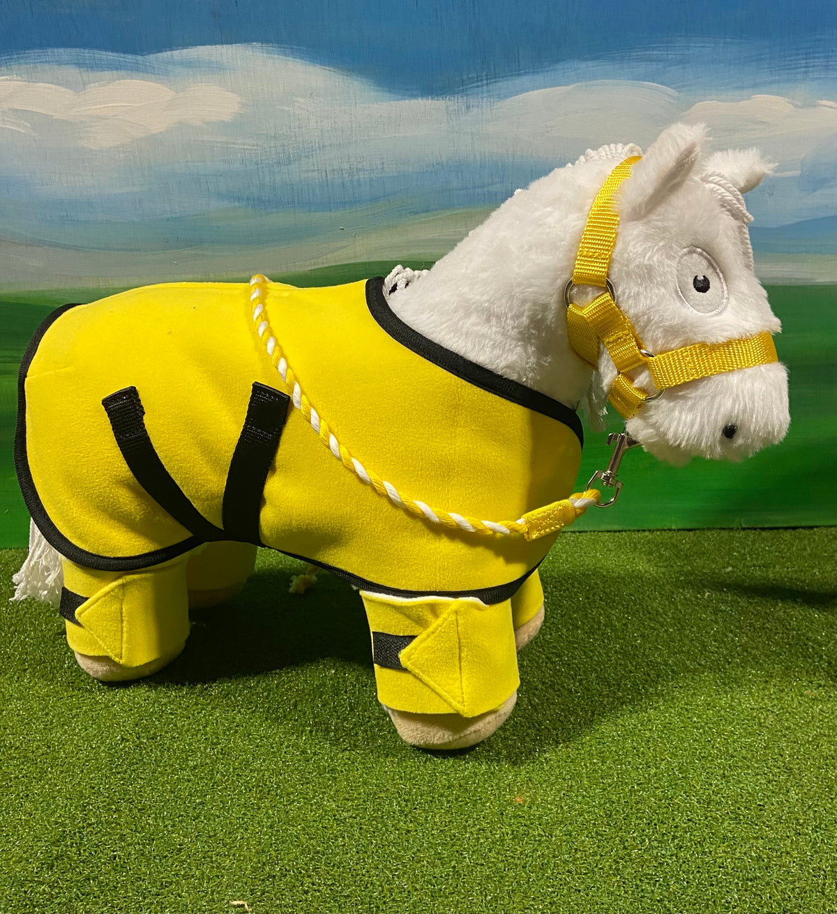 Crafty Pony Rug Starter Set