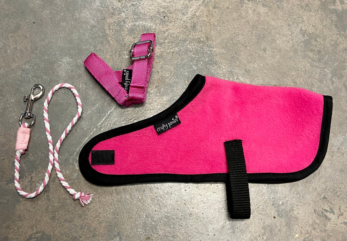 Foal rug set