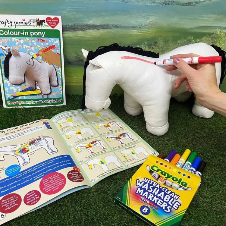 Vinyl Pony - Pease see note regarding pens
