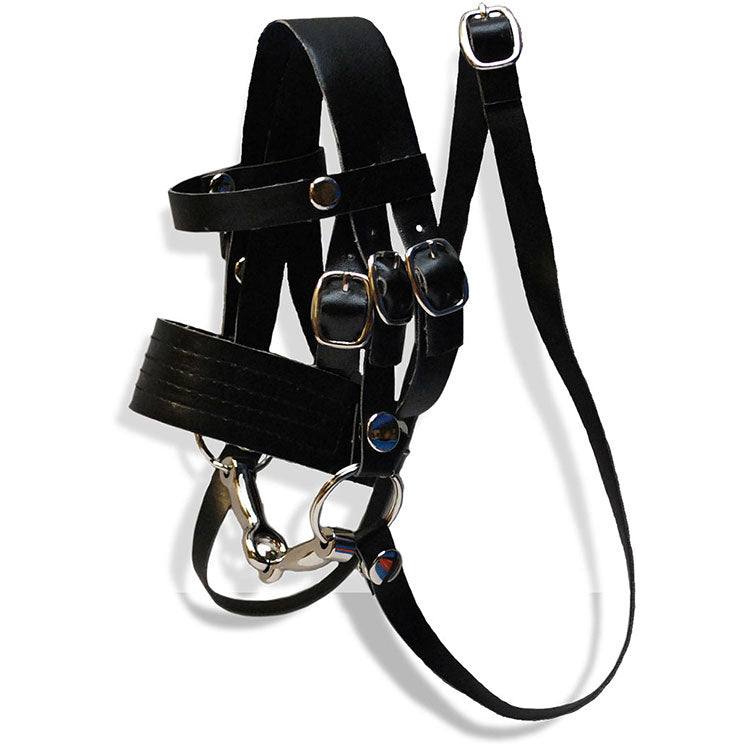 Crafty Pony Tack Starter Set