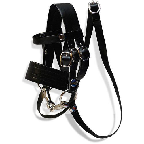 Crafty Pony Tack Starter Set