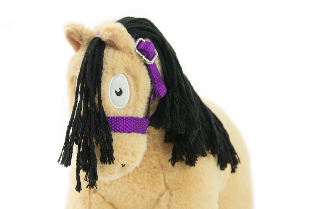 Headcollar